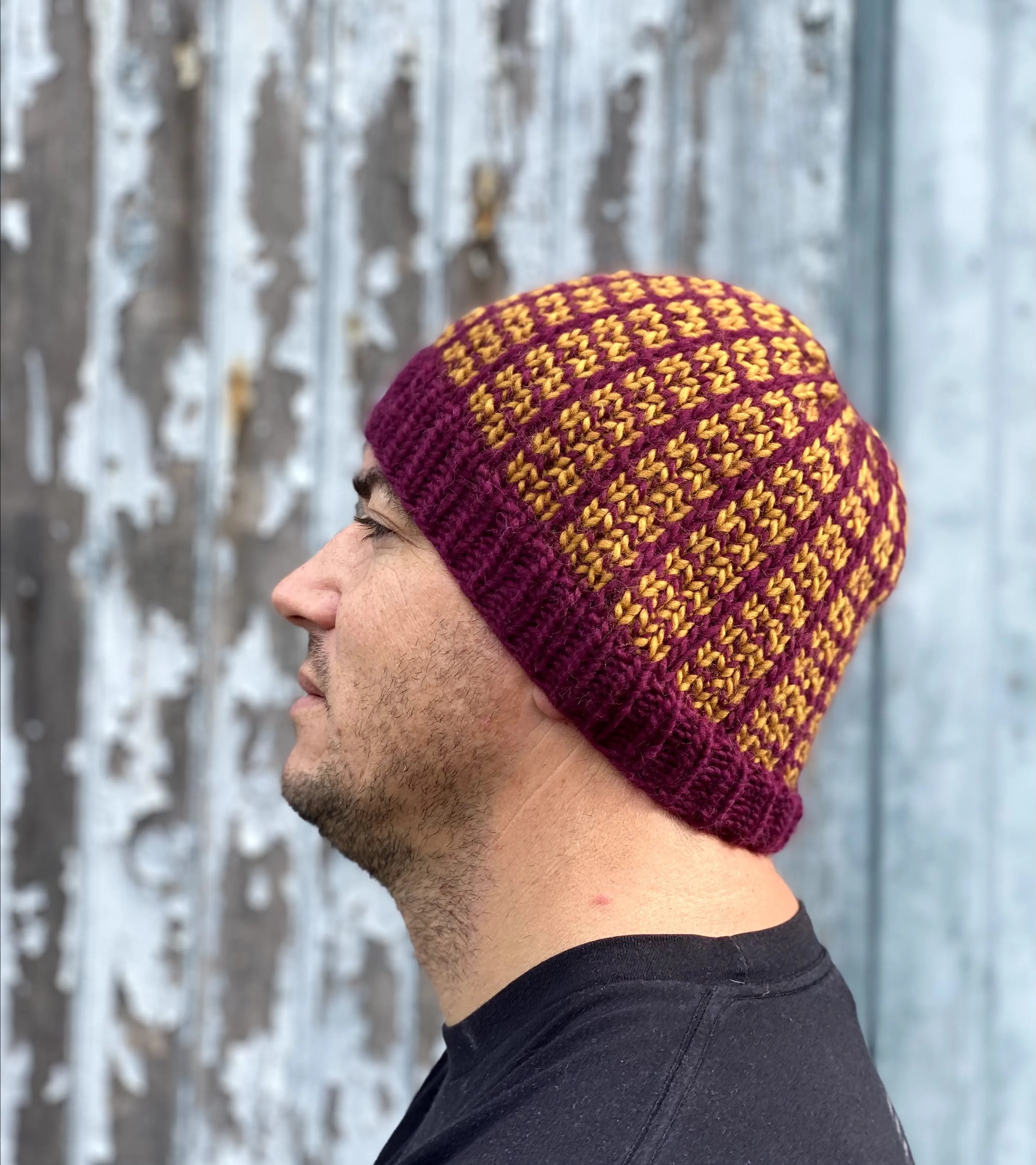 Beanie for the Boyz knitting PATTERN mosaic knitting colorwork