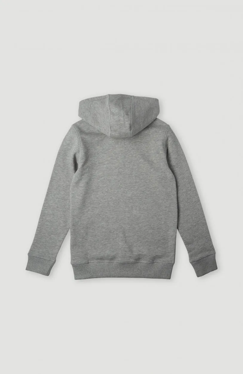 Circle Surfer Hoodie | Silver Melee