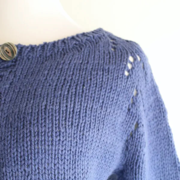 Felix Cardigan Project