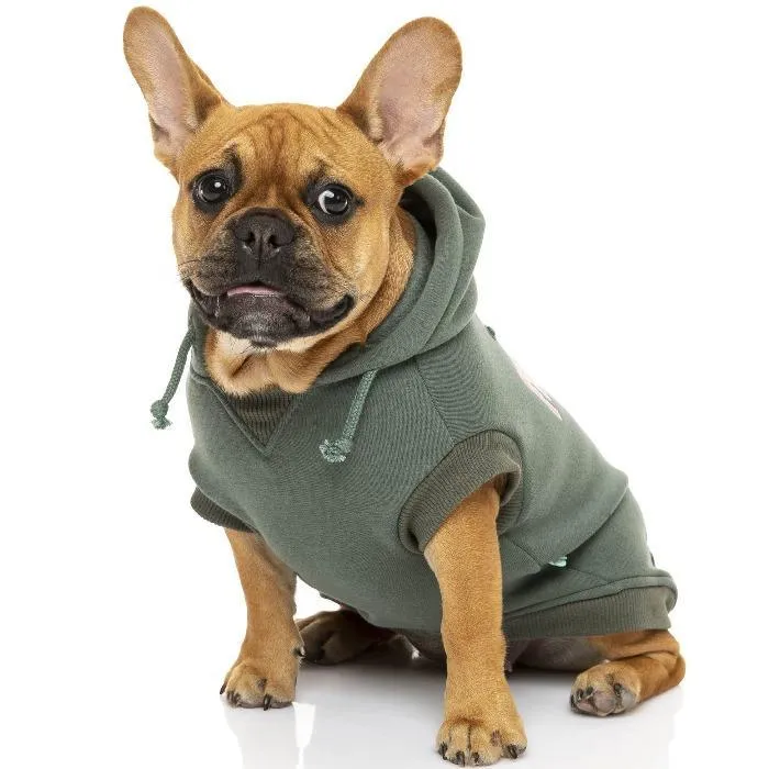 FuzzYard | State Hoodie - Dog Jumper Myrtle Green