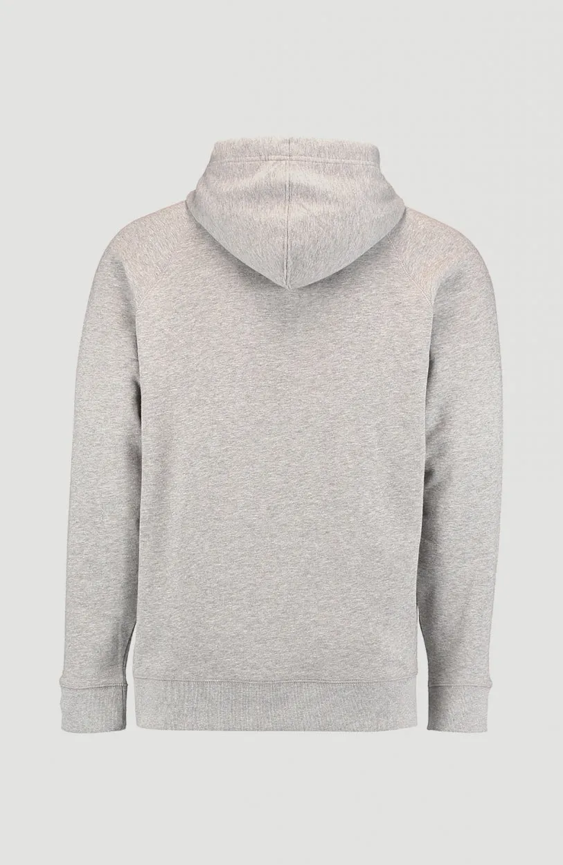 O'Neill Hoodie | Silver Melee -A