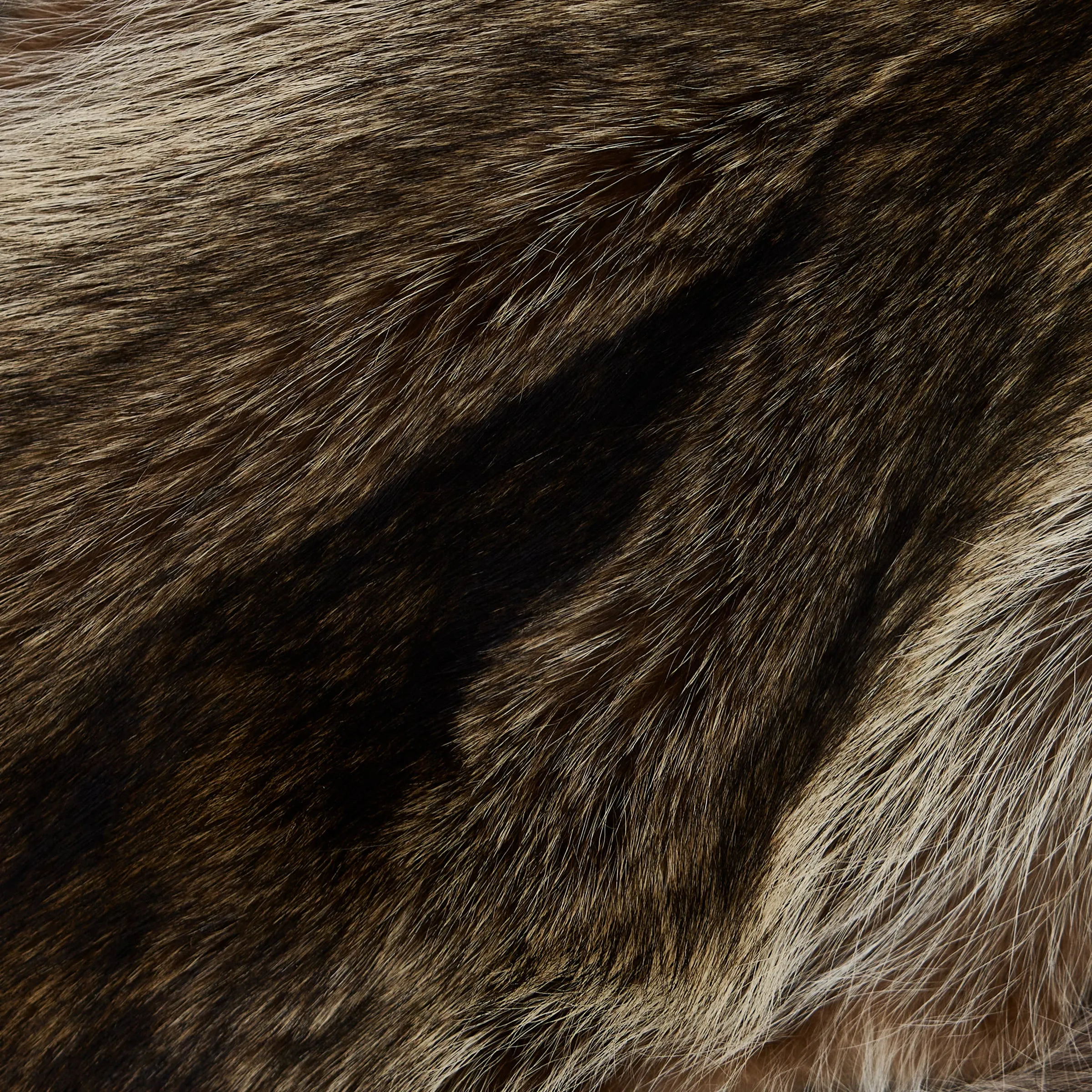 Raccoon Fur