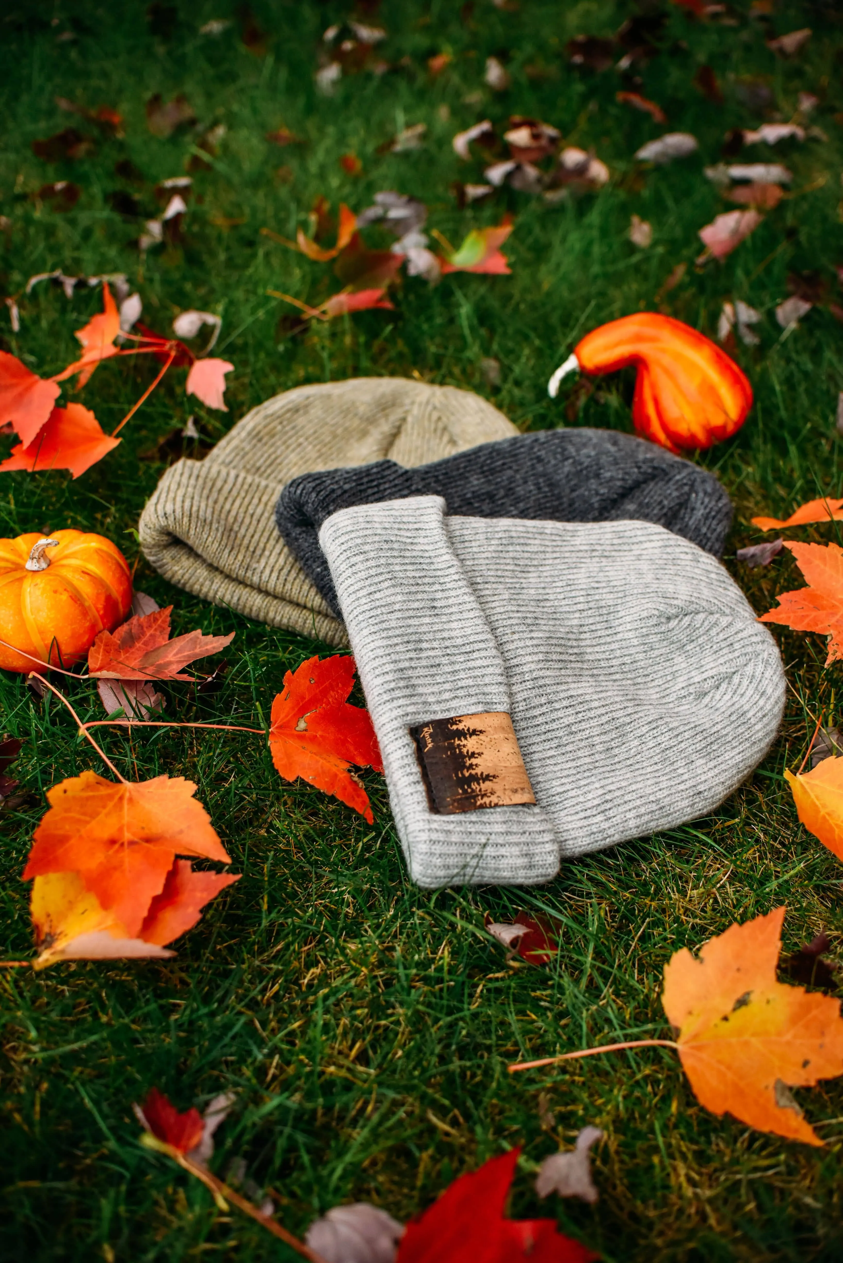 Treeline 100% Merino Wool   Cork Beanie | Charcoal