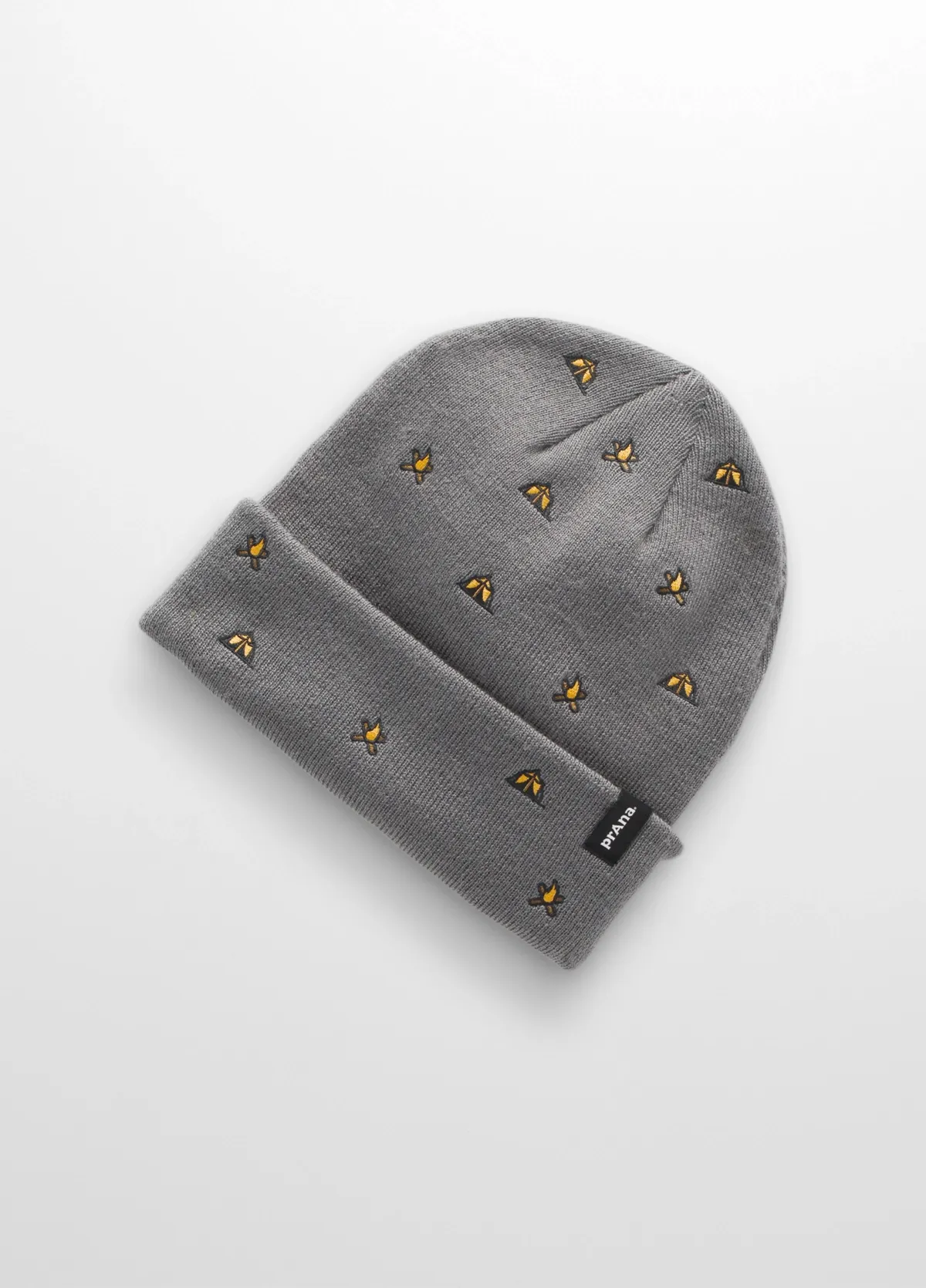 Wild Now Beanie