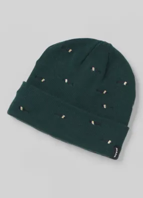 Wild Now Beanie